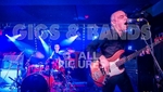 Wilko Johnson Farewell Tour-38