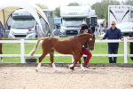 SBM_19037