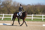 SBM_001215