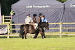 SBM_10983