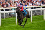 290723-Race 7-Bajan Bandit-1101
