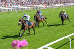 120725-Race 4-Al Qareem-5793
