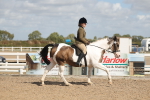 Class 807 - young Rider 11 to 16 Years portfolio