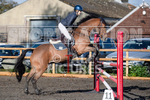Senior Showjumping_10-11-2019-30