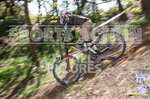 MTB 2017  Downhill Race-2-81