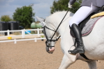 SBM_03953