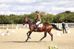 SBM_003495