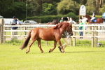 SBM_00441