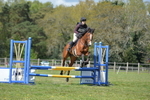 Rider numbers 157 to 159,164,162,160,163 portfolio