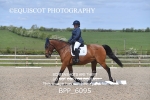 BPP_6095
