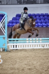 SBM_004290