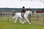 SBM_08474