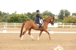 SBM_005918