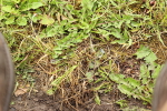 SBM_000914