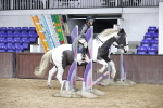 SBM_000481
