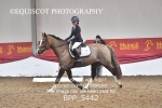 BPP_5442