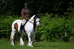 WJ7_1523