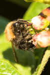 20150603-8E0A9082