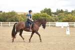 SBM_010210