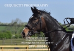 BPP_8004
