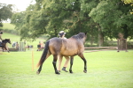 SBM_44362