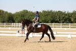 SBM_006416