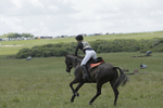 BVHT 140517  IXC -462