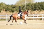 SBM_016927