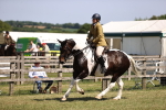 SBM_17864