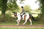 SBM_66339