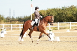 SBM_008613