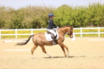 SBM_008461