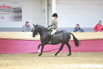 SBM_07180