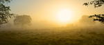 Summer Dawn,Dunwich Heath,Suffolk Coast EDC184