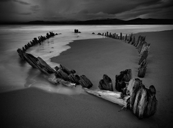 Black and White portfolio