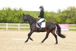 SBM_000659