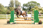 SBM_003834