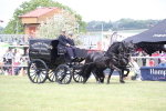 SBM_06970