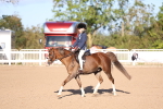 SBM_07811