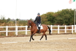 SBM_001626