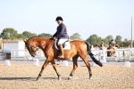 SBM_01590