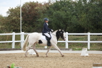 SBM_004212