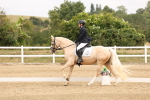 SBM_000829