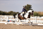 SBM_08033