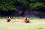 IMG_8548 British Columbia