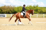 SBM_000344