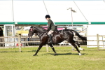 SBM_19256