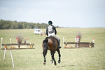 BVHT 140517  NXC -563