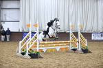SBM_009919