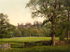 Matlock Wingfield Manor 10